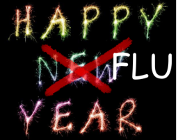 Flu Year