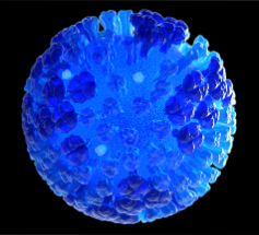 Influenza 2