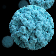 Norovirus