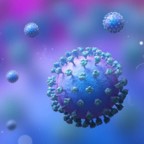 Human Metapneumovirus